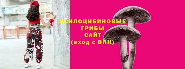дживик Долгопрудный