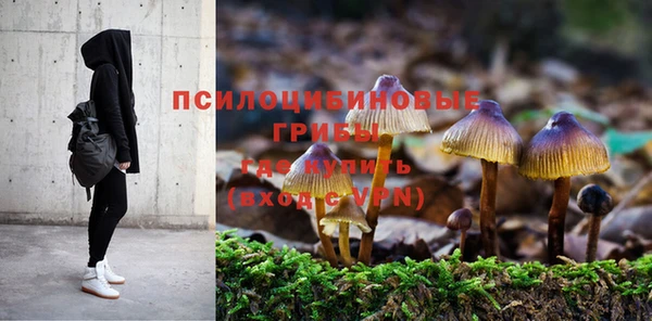 стаф Беломорск