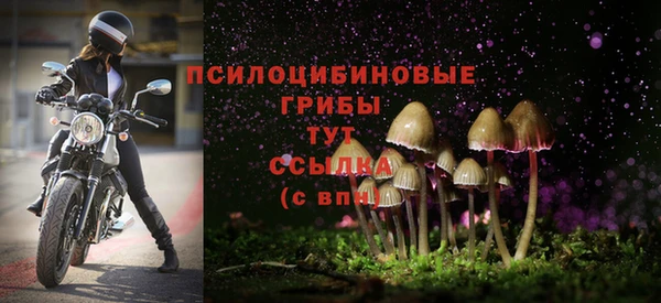 Альфа ПВП Белокуриха