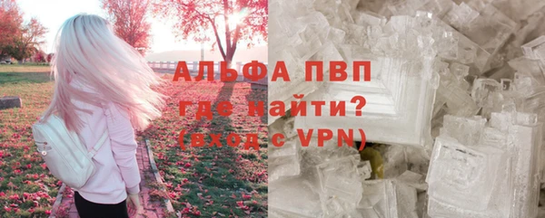 стаф Беломорск